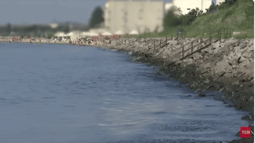 Узбережжя Чорного моря в Лиманській громаді, де тривають пошуки зниклого підлітка